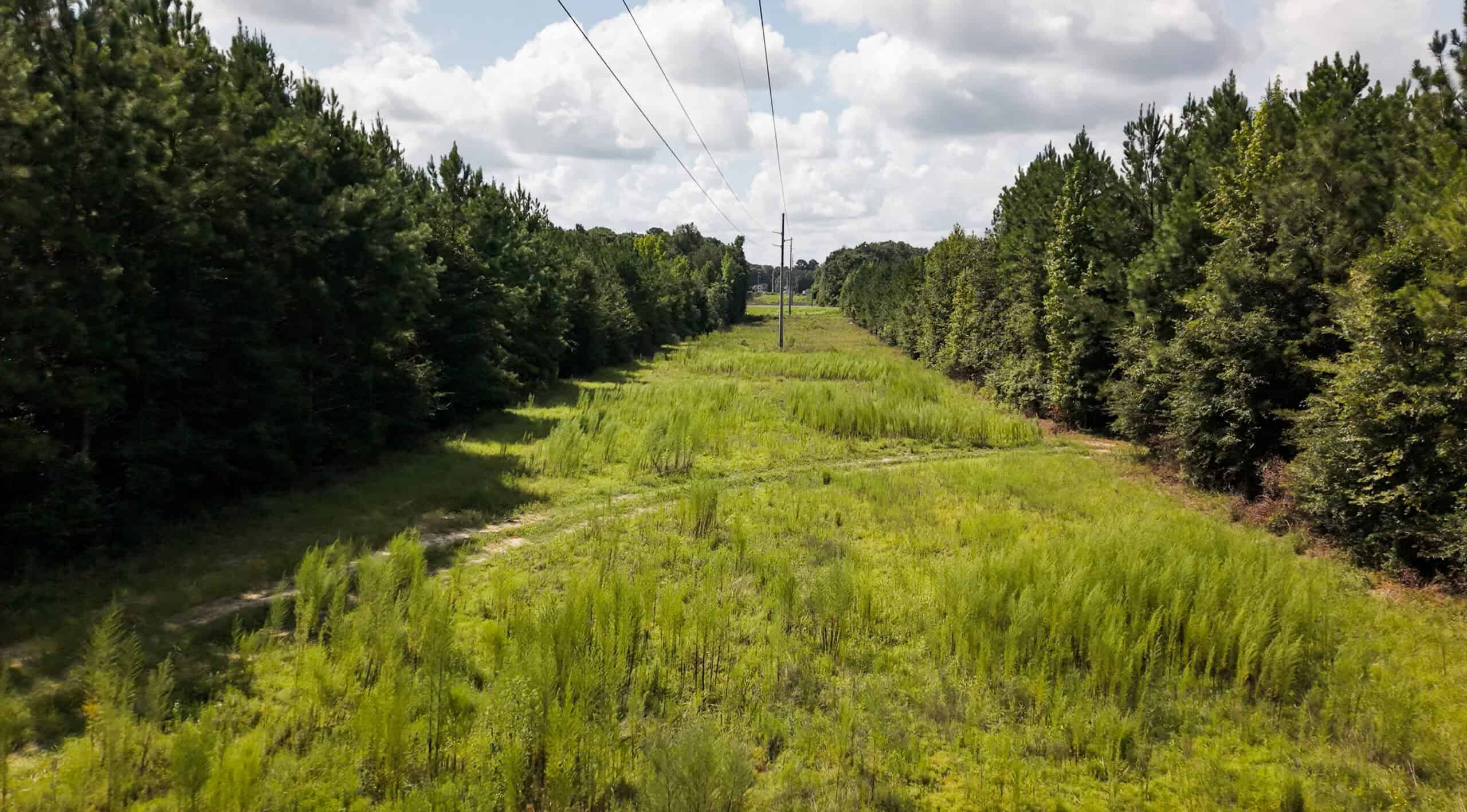224.56 Acres | Buck Creek 224 | Montezuma, GA